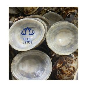 Disponible: Concha de Limpet Premium para Protección del Pezón durante la Lactancia y Cobertura del Seno, Concha Marina - Product Image 1