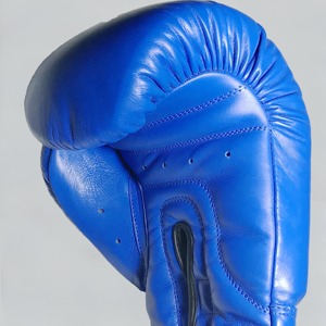 Blue Leather Boxing Gloves 14 Oz Lace-Up Adjustable Wrist Strap For Adults Training Gear - Product Image 5