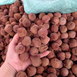 VENTA CALIENTE Blue Lotus 2025 Dry Lychee Soft and Juicy Sweet Snack - Product Image 6