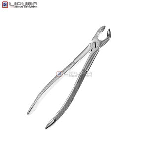 Pinzas de Extracción Tipo Berten PLUS 79 de Calidad Premium, Instrumento Dental de Extracción de Dientes de Acero Inoxidable Alemán de Grado Quirúrgico - Product Image 6