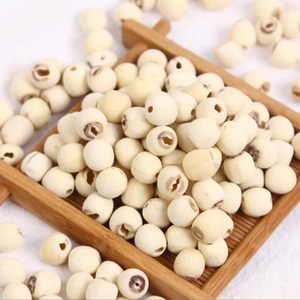 Semillas de Flor de Loto Blanco Secas a Granel, 24 Meses de Duración, Origen Vietnam - Product Image 1
