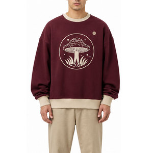 Nouveau sweat-shirt épais pour homme en molleton de coton doux, col rond, pull chaud pour l'hiver, vêtement décontracté pour les activités quotidiennes et les voyages - Product Image 1