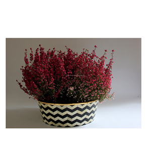 Incrustation d'os meilleure couleur différente Vase de conception de fleurs incrustation d'os vase à fleurs de grande taille meilleure couleur Offre Spéciale polie - Product Image 5