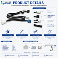 Faisceau de câblage d'extension d'alimentation pour haut-parleur automobile 12V, multi-connecteurs, gaine tressée en PET