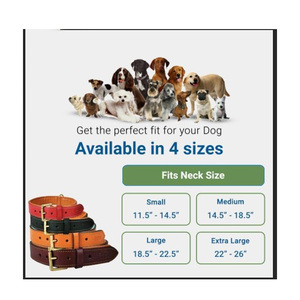 Cinturón de Levantamiento de Pesas de Cuero Ligero de Lujo, de Alta Calidad, Hecho a Medida, con Hebilla de Acero y Diseño Deportivo con Estampado Animal - Product Image 6