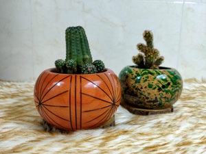 Maceta de madera tallada a mano con patrón circular, estilo rústico, para plantas de interior, para cactus, suculentas, decoración de escritorio - Product Image 1