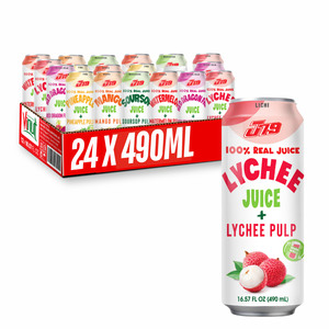 Jus de litchi 490 ml avec pulpe, fabricant de boissons OEM ODM, marque privée, Vietnam - Product Image 1