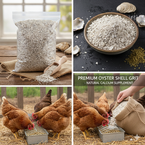 Natural Oyster Shell Grit – High Calcium Feed Supplement for Poultry & Animal Nutrition - Product Image 4