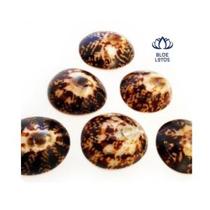 Conchas de Limpet de Venta Rápida para Componentes de Joyería y Uso en Arte de Resina, Acabado Limpio, Patrón Único, Mejora los Diseños Creativos - Product Image 1