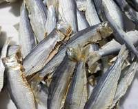 Arenque Seco Bajo en Sal al por Mayor de Vietnam y Filete de Arenque Seco Sin Sal, Suministro a Granel de 10 kg