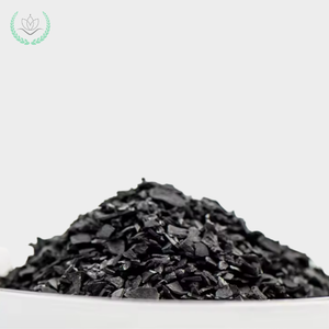 Charbon actif de coque de noix de coco granulaire fourni par l'usine pour l'amélioration environnementale et la purification de l'eau - Product Image 6