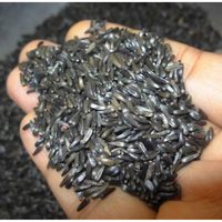 Graines de Niger : Ingrédient Alimentaire de Qualité Supérieure, Sélection de Graines à Haute Pureté, Aspect Naturel et Structure de Graine Soigneusement Nettoyée