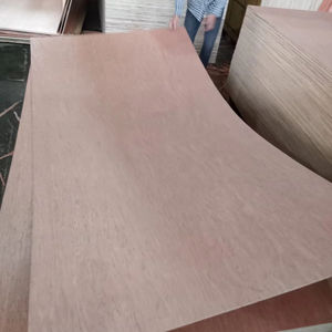 Panneaux de contreplaqué commercial avec âme en eucalyptus, design moderne pour appartement, 1220x2440mm, garantie 1 an, installation sur site - Product Image 1