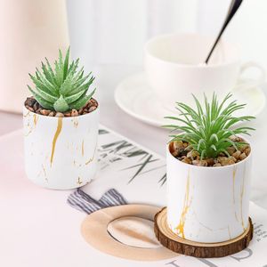 Set di 4 Piante Succulente Artificiali Verdi per Decorazione Casa e Accessori da Scrivania per Donne - Product Image 4