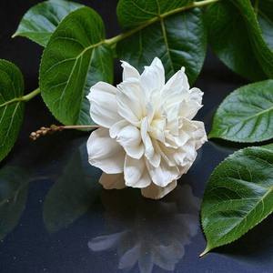 Fleur artificielle en bois Sola style rose de jardin blanche, 15 cm, grande taille, tige en fibre de plantes Sesbania - Product Image 5