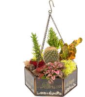 Centro de Mesa para Boda, Terrario de Cristal, Decoración Artística, Recipiente para Plantas de Interior, Suculentas, Plantas Aéreas, Miniaturas