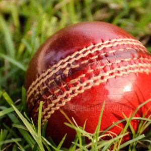 High Quality Leather Cricket Balls For <b>Nets</b> Training And Competitive Matches Built For Stability And Game Consistency - Product Image 5