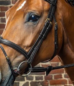 भारतीय निर्माता के आरामदायक शारीरिक फ्लैश नोसेबैंड ब्रिडल इटालियन चमड़े अनुकूलित सजावटी वर्ग को हटाने योग्य - Product Image 6