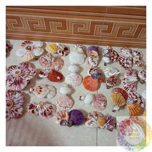 Pince à cheveux en coquillage naturel, faite à la main, écologique, accessoire côtier, support de cheveux durable en coquillage, inspiré de la plage, vente en gros - Product Image 4