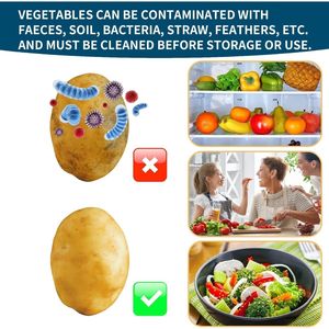 Brosse à légumes et nettoyeur alimentaire pour pommes de terre et légumes, laveurs naturels pour produits biologiques - Product Image 5