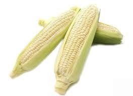 Premium Boiled Sticky Rice Corn Natural Vacuum Sealed Healthy Snack OEM Supply - Product Image 2