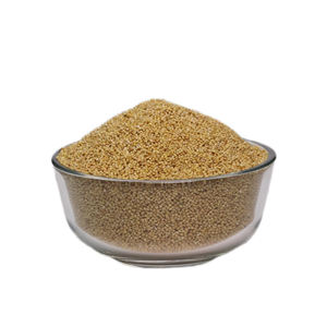 ข้าวฟ่างหางจิ้งจอกเกรดอาหารพรีเมี่ยมสำหรับการกระจายจำนวนมากการปลูกพืชป่าที่มีตัวเลือกการสร้างแบรนด์ที่กำหนดเอง - Product Image 3