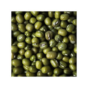 Haricots Mungo Verts en Gros Prix d'Usine Haricots Mungo Verts - Product Image 4