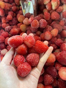 Fraises surgelées de qualité supérieure IQF entières du Vietnam Lam Dong, vente en gros - Mme Tarina par Viet D.E.L.T.A 1kg - Product Image 5