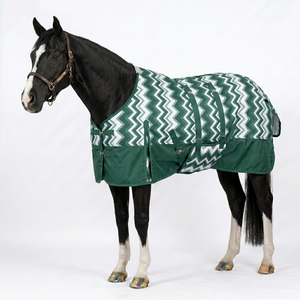Manta impermeable para caballo de exterior con cobertura completa de cuello y cuerpo, manta de invierno para establo con hebilla de seguridad. - Product Image 1
