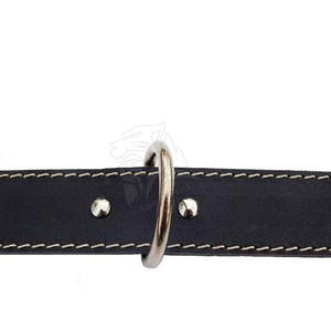 Collier et laisse classiques pour chien, construction durable et texture douce, collier et laisse réglables avec ajustement sécurisé et port facile - Product Image 5