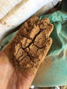 ผง Joss สำหรับทำธูปวัสดุ agarbatti จากเวียดนาม - Product Image 6