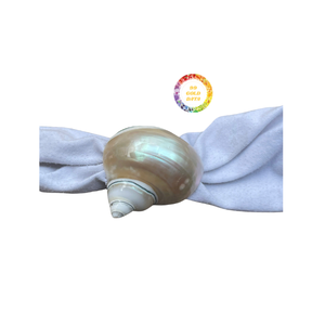 แหวนผ้าเช็ดปากเปลือกหอยธรรมชาติทำด้วยมือสุดหรูสำหรับตกแต่งโต๊ะอาหารค่ำและการติดตั้งห้องอาหารชายฝั่งทะเลรีสอร์ท - Product Image 4