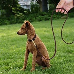 High Quality Adjustable genuine Leather <b>Braided</b> Dogs pet Collars <b>accessory</b> providing comfort and secure fit for dogs in low rate - Product Image 2