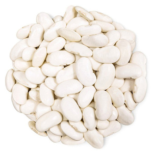 Venta al por mayor de frijoles blancos de la mejor calidad a precio económico 100% - Product Image 2