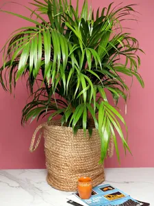 Juego de 2 Cestas Rectangulares Multifuncionales Modernas y Ecológicas de Yute 100% para Almacenamiento o Plantas de Interior - Product Image 3