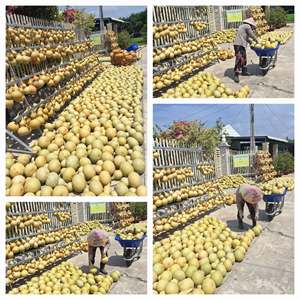 <b>Moroccan</b> Style Retro Gourd Lamps: Hand-Carved Beauty for Warm Ambiance HIGH QUALITY & Always AVAILABLE - BLUE LOTUS - Product Image 5
