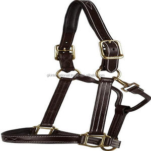 Équitation-dos nu en cuir rembourré, de qualité supérieure, brun, avec couture de contrastée, quincaillerie en laiton rose en or - Product Image 1