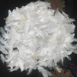 Plumas de Pato Decorativas al por Mayor - Plumas Teñidas Brillantes para Eventos y Proyectos Artísticos - Product Image 4