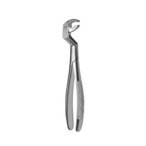 Forceps d'extraction dentaire à motif anglais, outil dentaire clinique durable, forceps d'extraction de dents - Product Image 1
