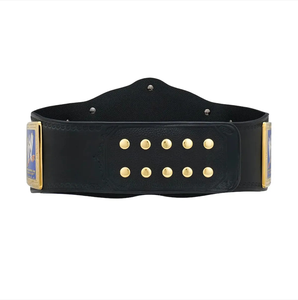 Ceinture de champion Aigle ailé en laiton et zinc, unisexe, meilleur cadeau, LUXE, pour les amateurs de lutte et de boxe, pour ANAAIF - Product Image 2