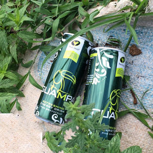 Guampa Pamplemousse Rose Export, Boisson Énergisante Guampa, Boisson Énergisante Guampa 250ml - Product Image 6
