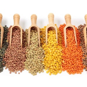 Lentejas Amarillas Secas Certificadas 100% Naturales, Semillas Cosechadas para Compradores Mayoristas, Empaque a Granel, Suministro para Exportación - Product Image 4