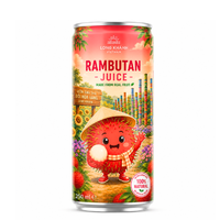 Niet uit concentraat gemaakt lychee fruitsap uit Vietnam OEM/ODM aangepaste label/logo