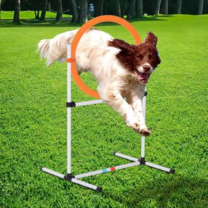 Set di allenamento per agility canina bianco e arancione: anello per salti, cerchio per pneumatici, barra per ostacoli, attrezzatura per velocità, realizzato in resistente materiale PC - Product Image 2