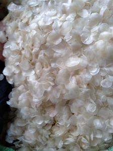 เครื่องชั่ง2024ปลานิลแห้ง100เปอร์เซนต์ - Product Image 3