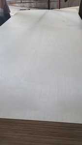 Contrachapado de abedul para interiores de hoteles, calidad de primera clase, precio competitivo, emisión de CO2, 1 año de garantía. - Product Image 4