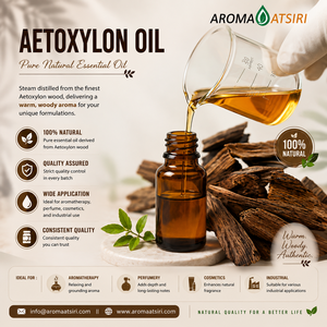 Huile essentielle d'Aetoxylon 100% pure – Arôme boisé premium pour la parfumerie et l'aromathérapie - Product Image 2