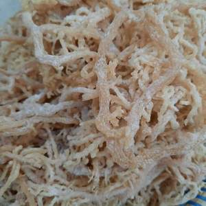 Cottonii seamoss bulk export production in Vietnam for international buyers - Product Image 6