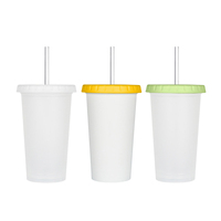 Gobelet isotherme réutilisable en plastique fantaisie 500 ml avec logo personnalisé, couvercle plat, tasse à glace en PP et paille, tasse à café