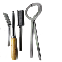 Ensemble d'instruments vétérinaires de haute qualité pour le soin des sabots de cheval : couteau, testeur, forceps, râpe – Lot de 10 outils professionnels en acier inoxydable